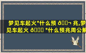 梦见车起火*
什么预 🐬 兆,梦见车起火 🐋 *
什么预兆周公解梦